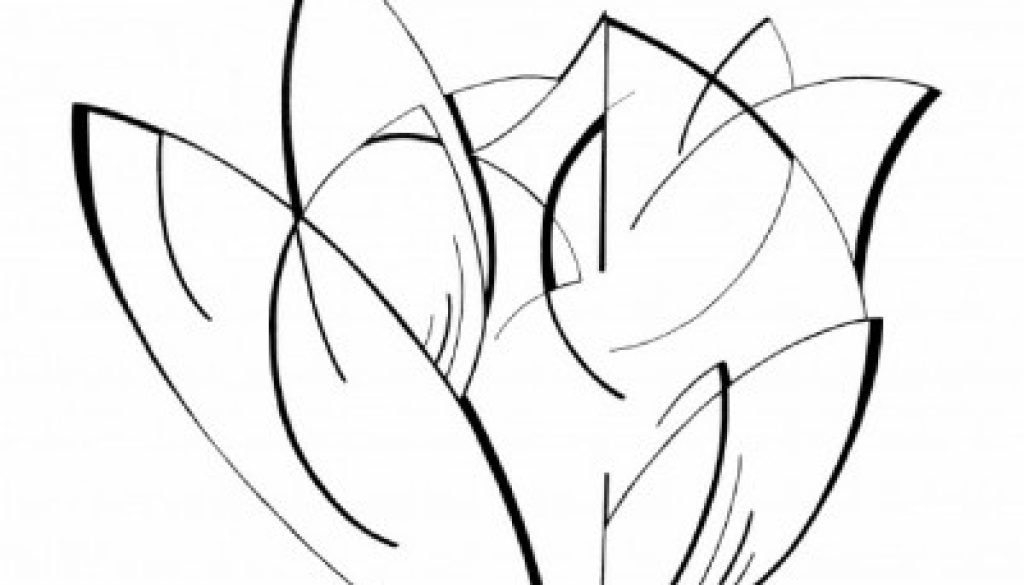 Black and white crisp line drawing in charcoal of a tulip blossom.
