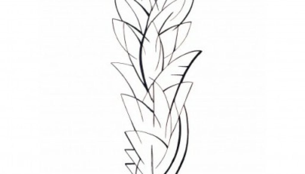 Black and white abstract line drawing in charcoal of a tall flower.