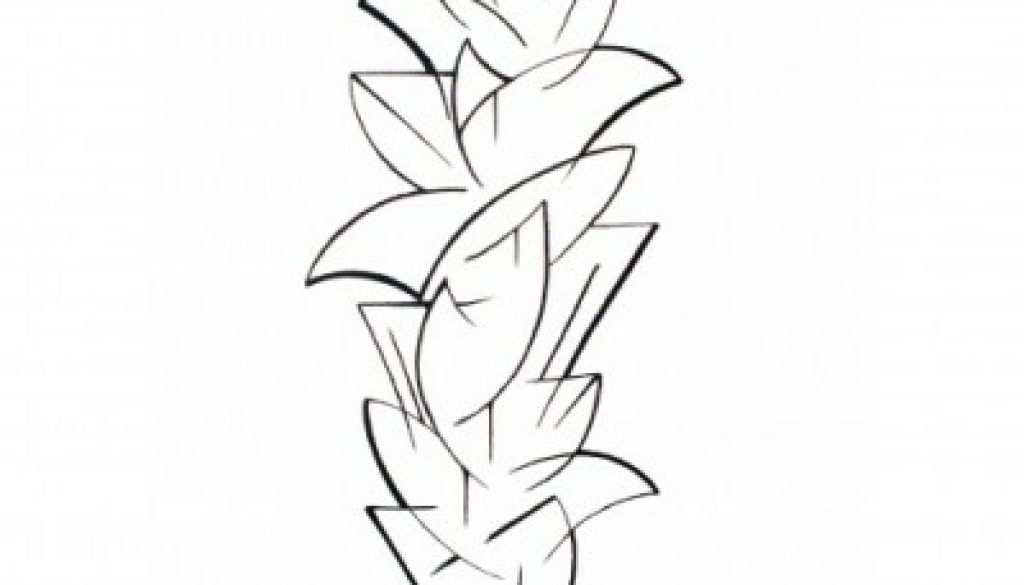 Black and white abstract line drawing in charcoal of a Tahoe Snow flower.