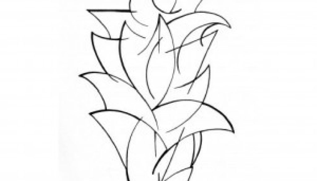 Black and white abstract line drawing in charcoal of a red ginger flower.
