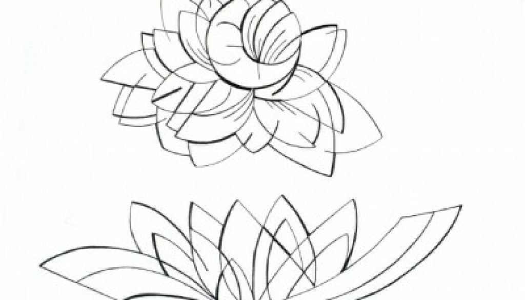 Black and white abstract line drawing in charcoal of a Nightblooming Cereus flower.