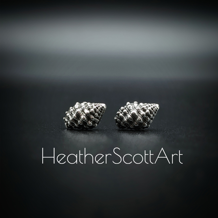 Small sterling silver shell stud earrings sitting on a black background with the words Heather Scott Art in the foreground.