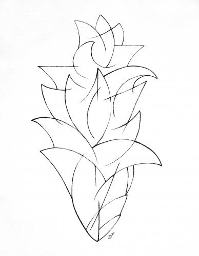 Growing Series: A Little Prickly on the Outside 2013