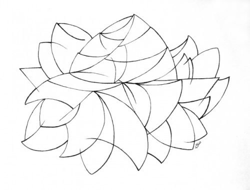 Growing Series: Unfolding 2013