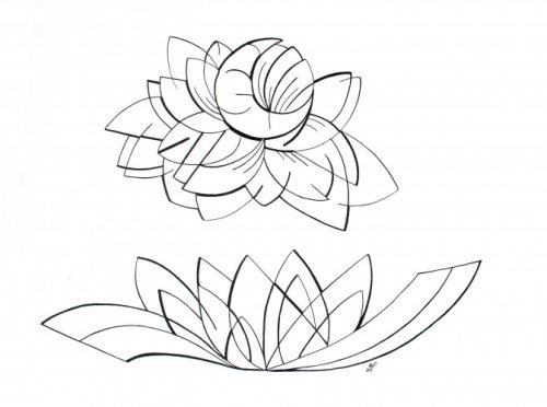 Growing Series: Reflecting 2013